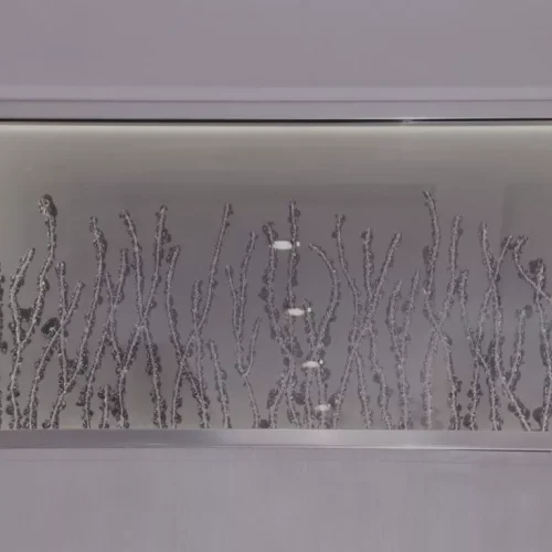 Verre-grave-boucharde2-e1527159494744