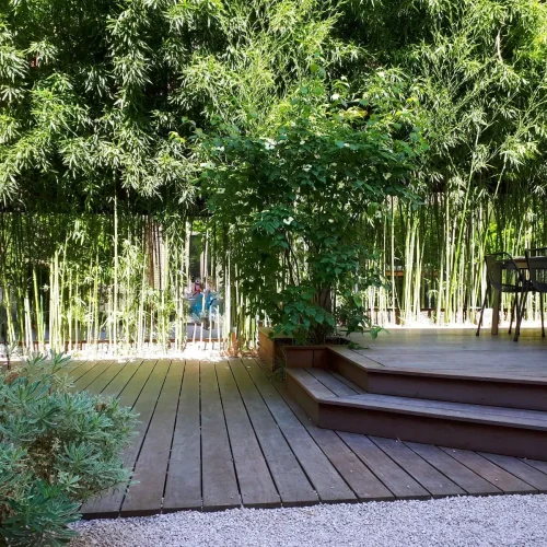 perspective-verre-miroirs-dans-jardin